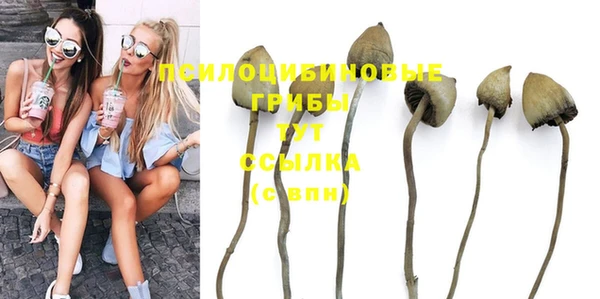 твердый Алексин