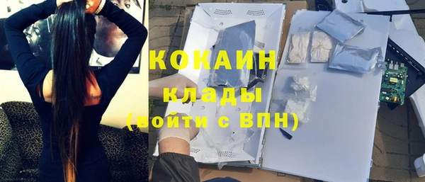твердый Алексин