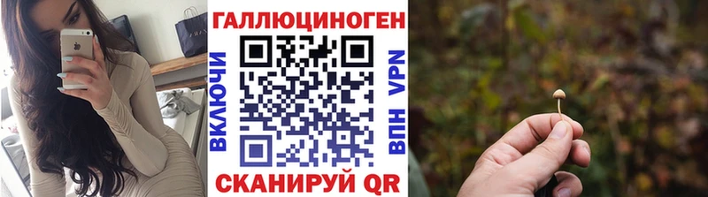 купить закладку  Новоульяновск  Галлюциногенные грибы MAGIC MUSHROOMS 